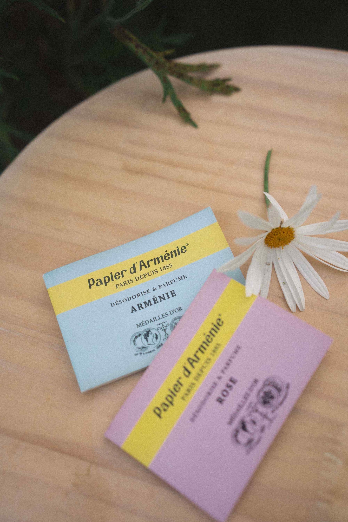 Papier d’Arménie ~ Incense Papers