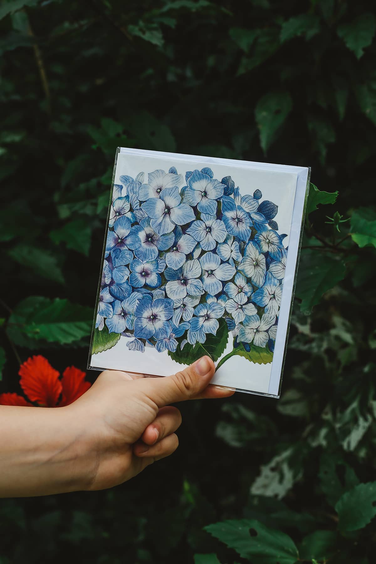 Archivist Natural History Museum ~ Greeting Cards