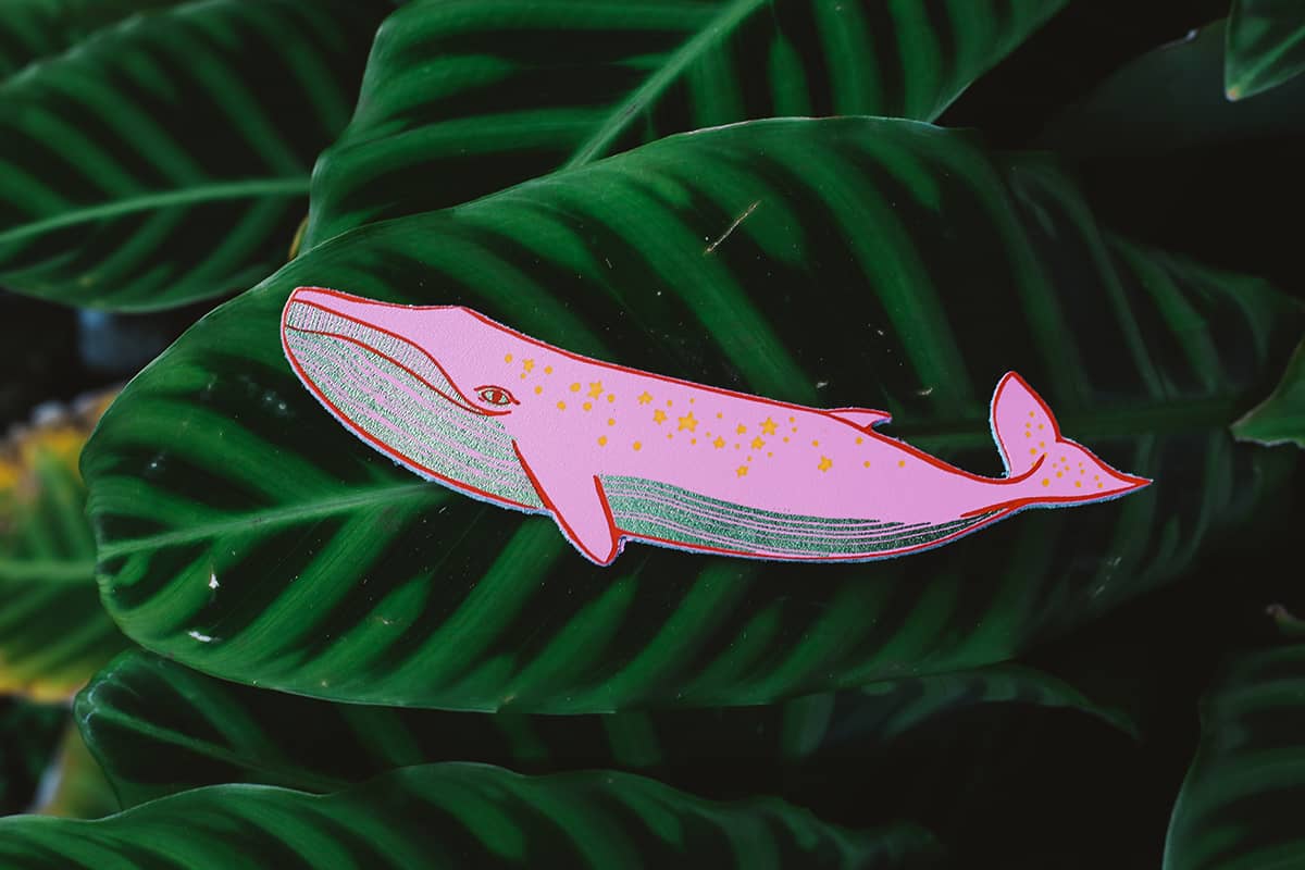 Ark Colour Design ~ Bookmarks