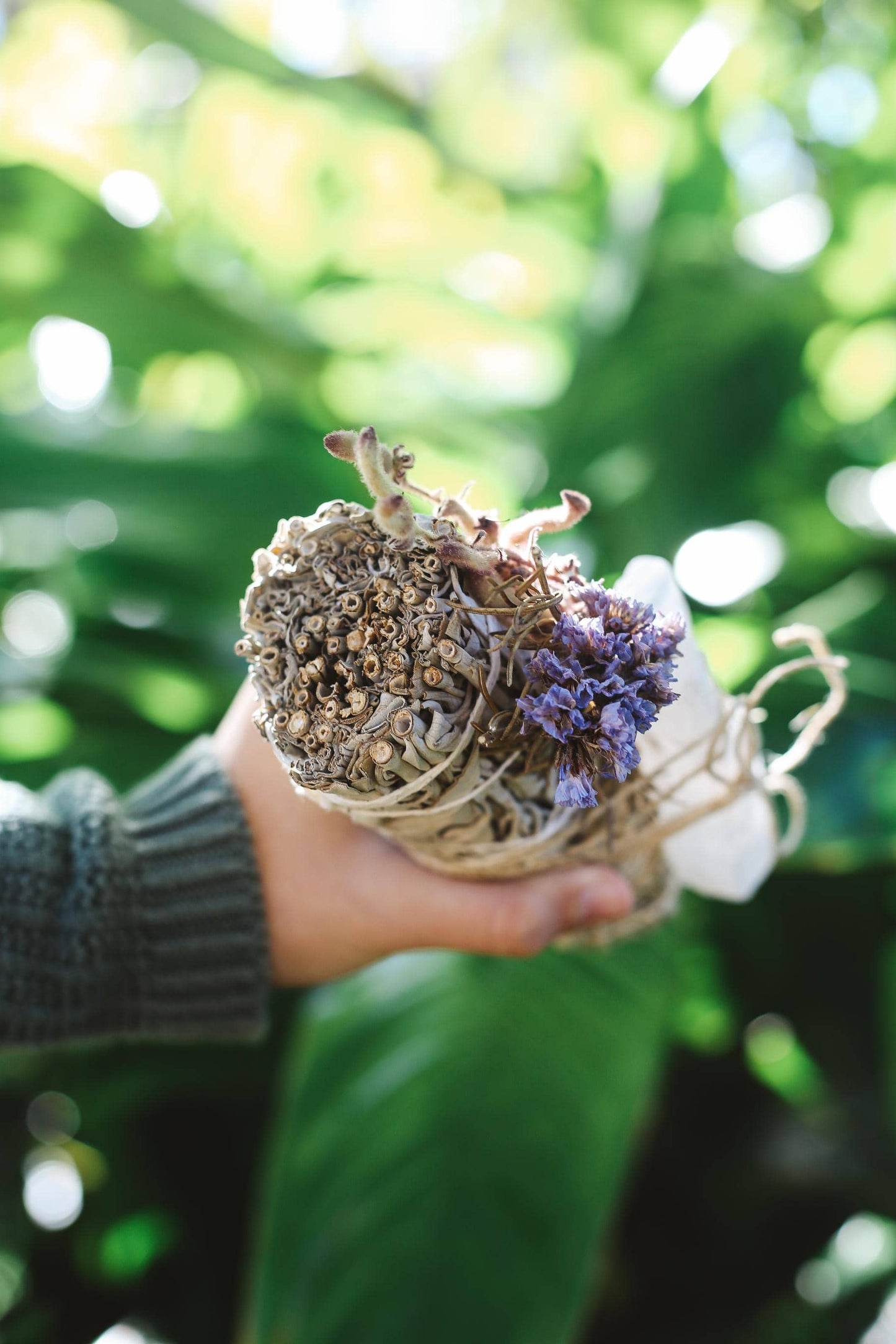 Hand holding a bundle of sage with a blurred green background