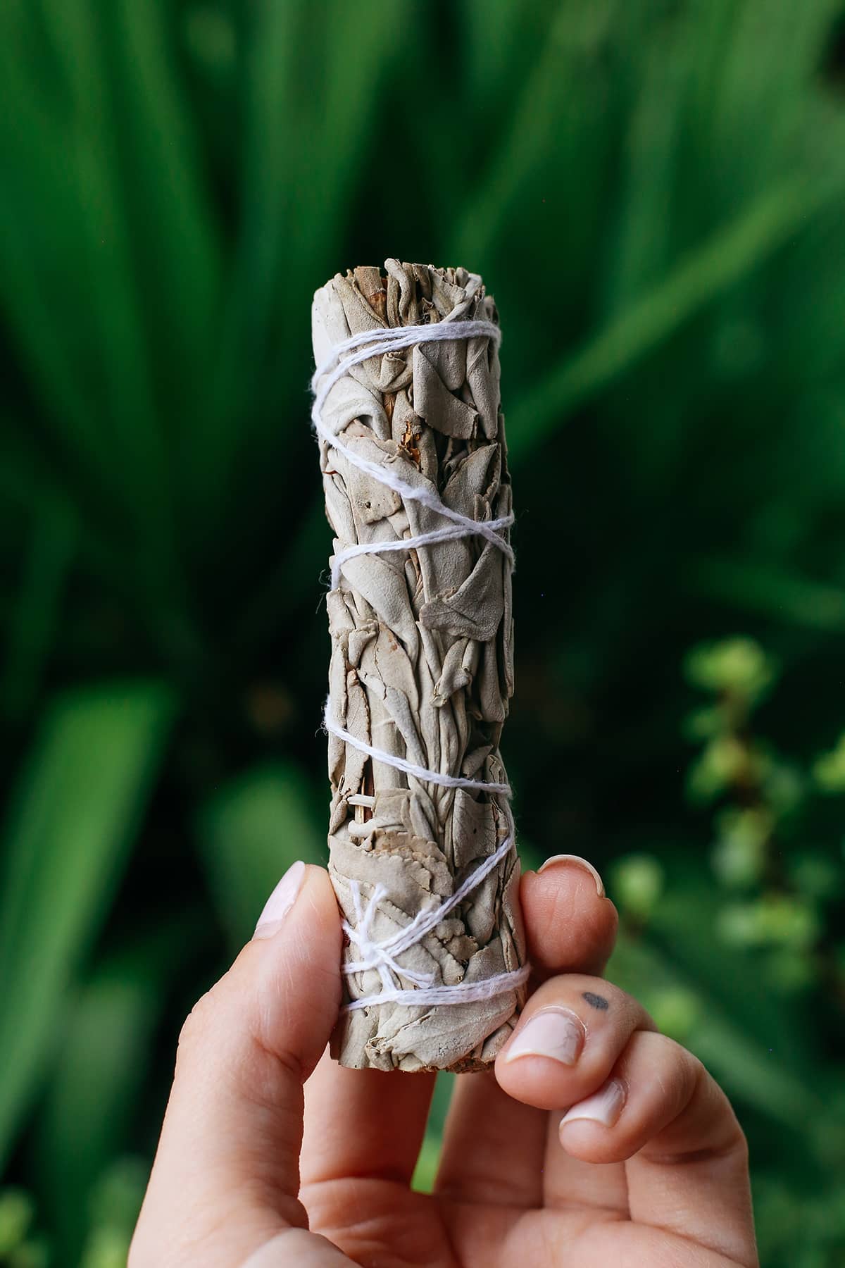 White Sage Cleansing Stick