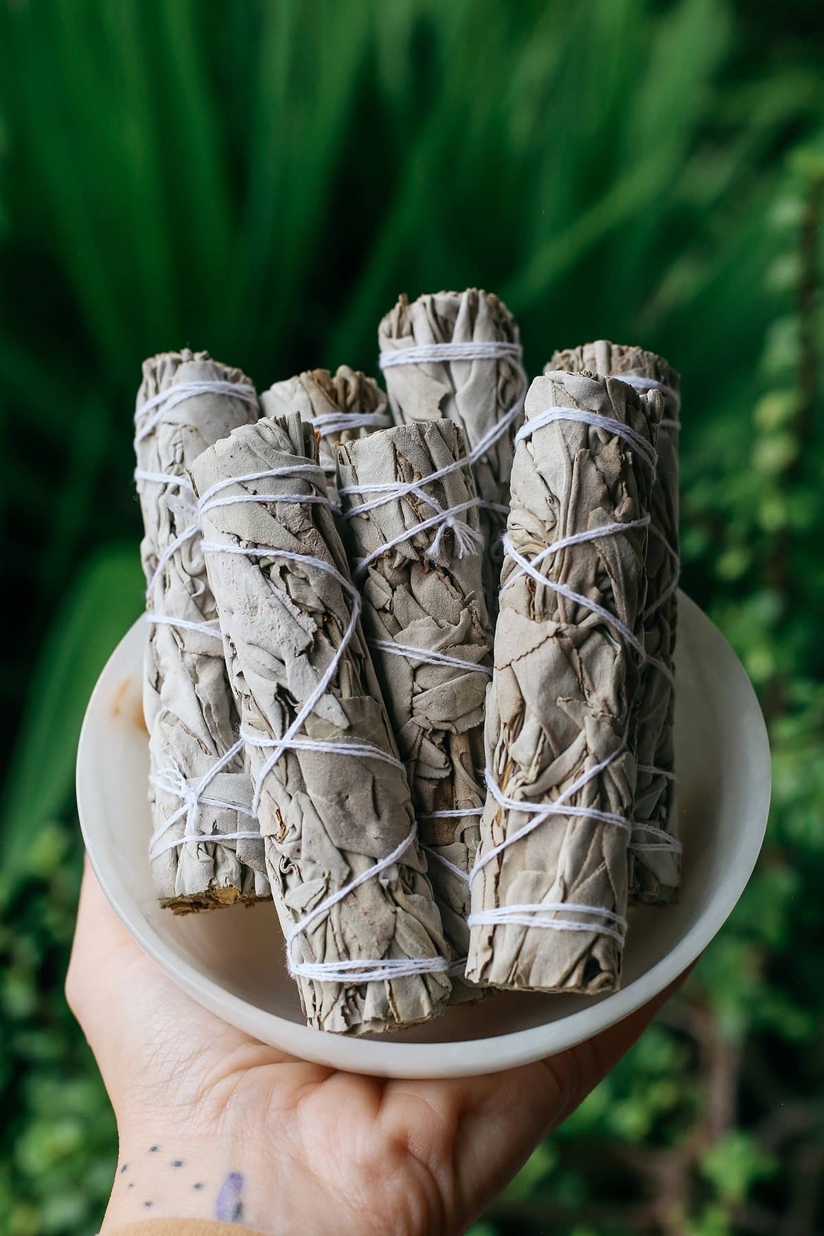 White Sage Cleansing Stick
