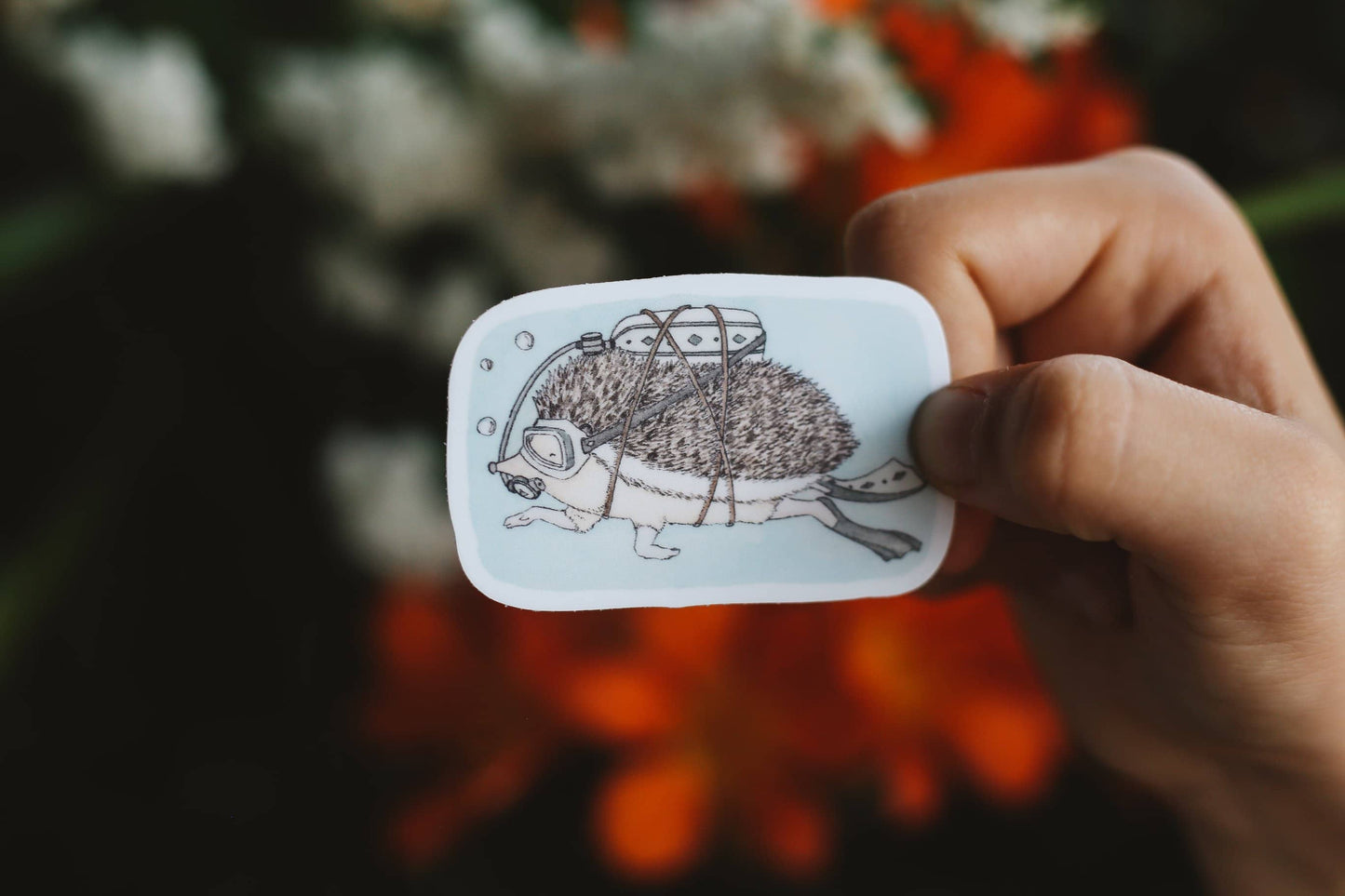 Hand holding a card with a hedgehog scuba diving