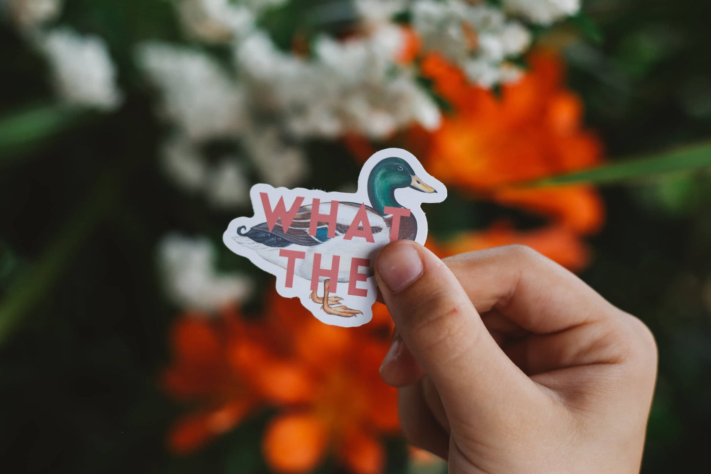 Hand holding a sticker with a duck and 'What the?' text against a floral background