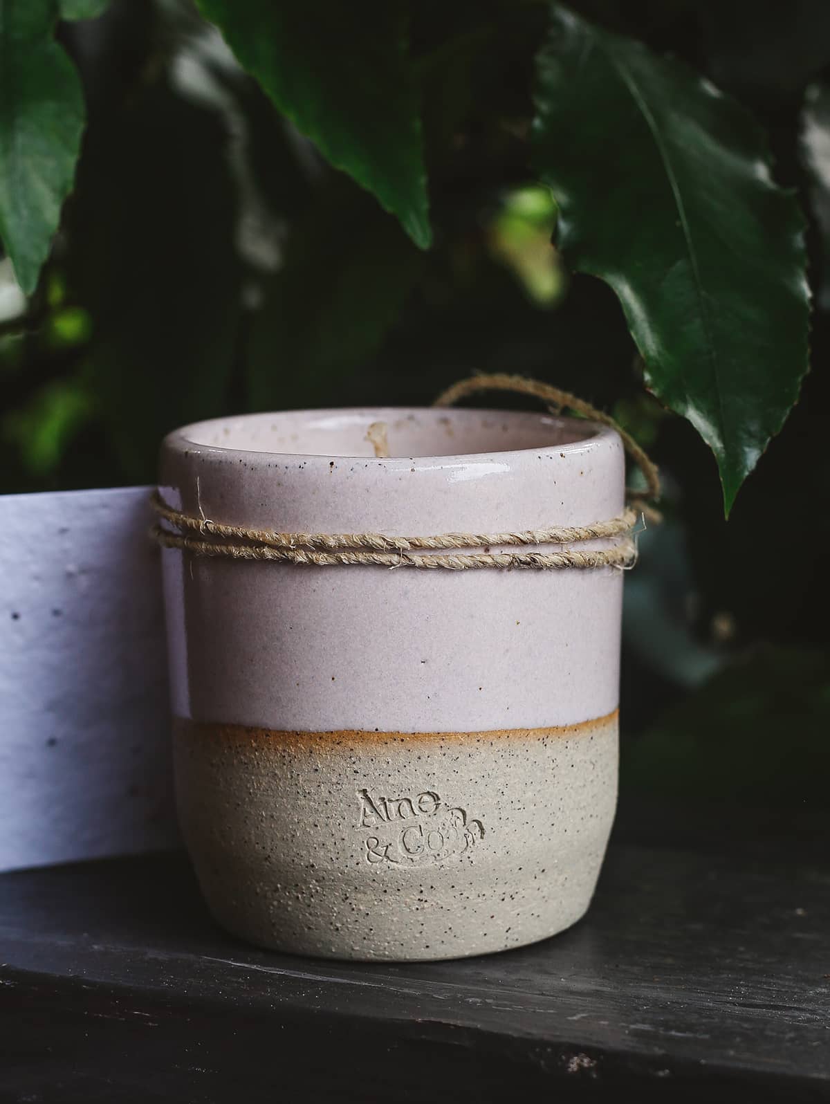 Àine & Co. Ceramic Tumbler Candle in rose pink, featuring cylindrical ceramic cup with natural speckled white on the bottom half and rose pink glaze on the top half