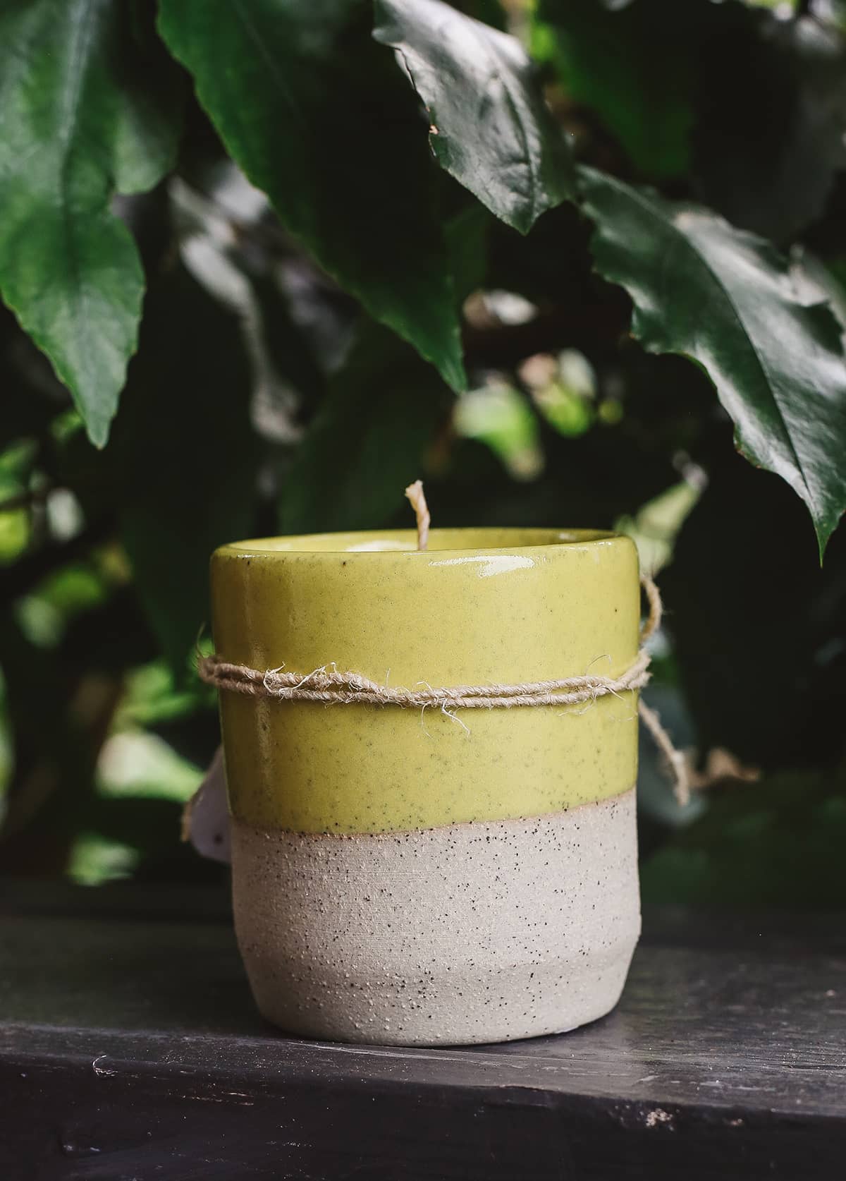 Àine & Co. Ceramic Tumbler Candle in yellow, featuring cylindrical ceramic cup with natural speckled white on the bottom half and yellow glaze on the top half