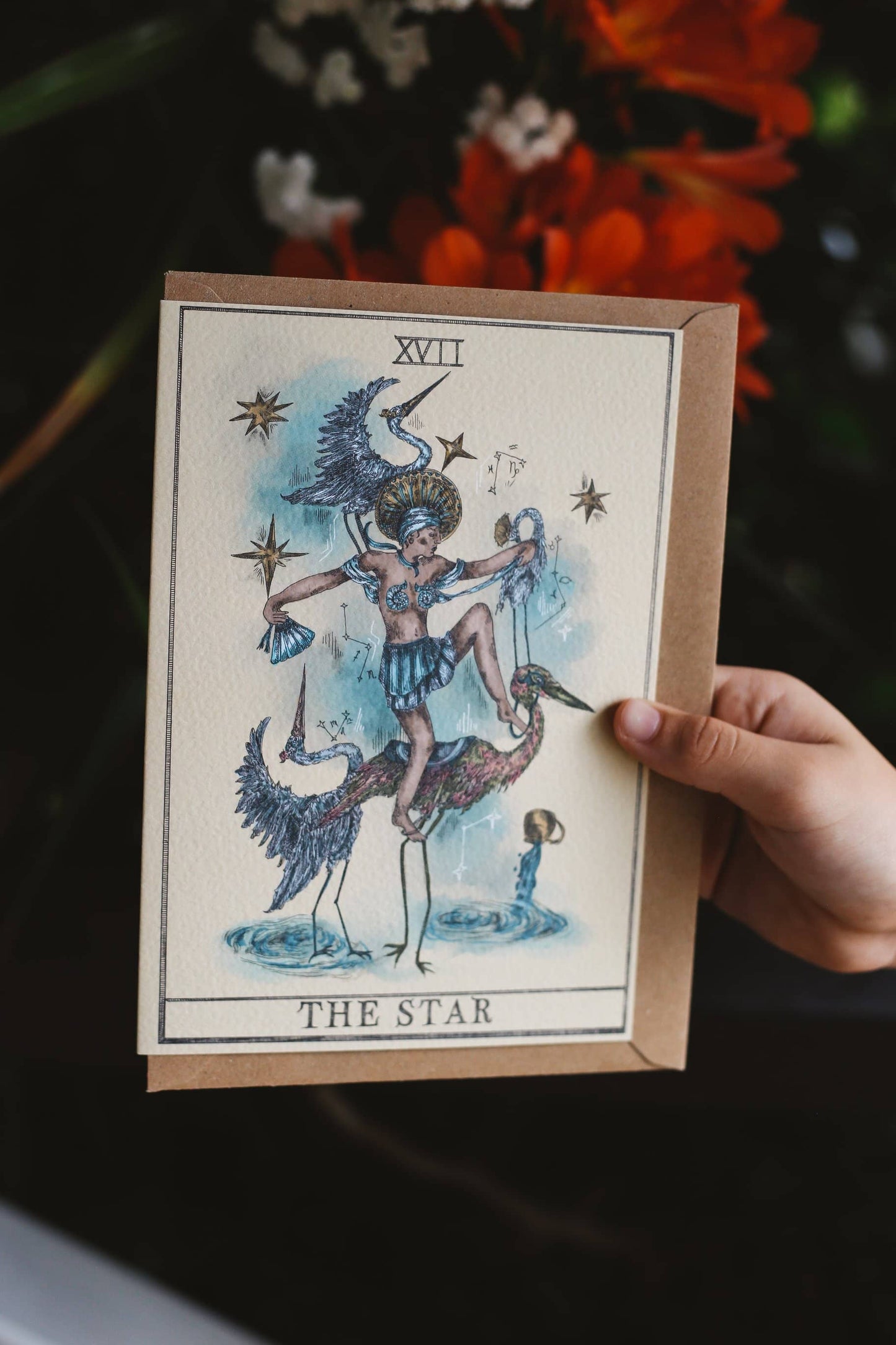 Greeting Cards by Gisela Gayleard ~ Hand Illustrated