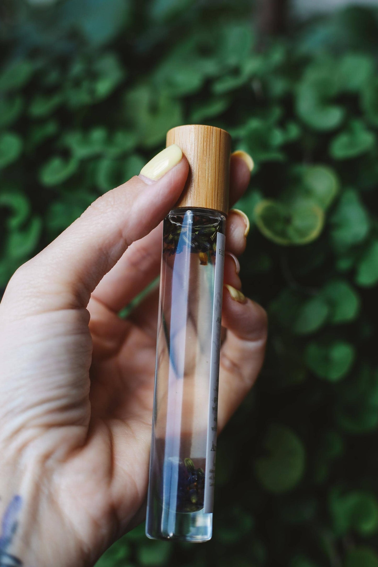 Hand holding a small glass bottle with a wooden cap against a green leafy background