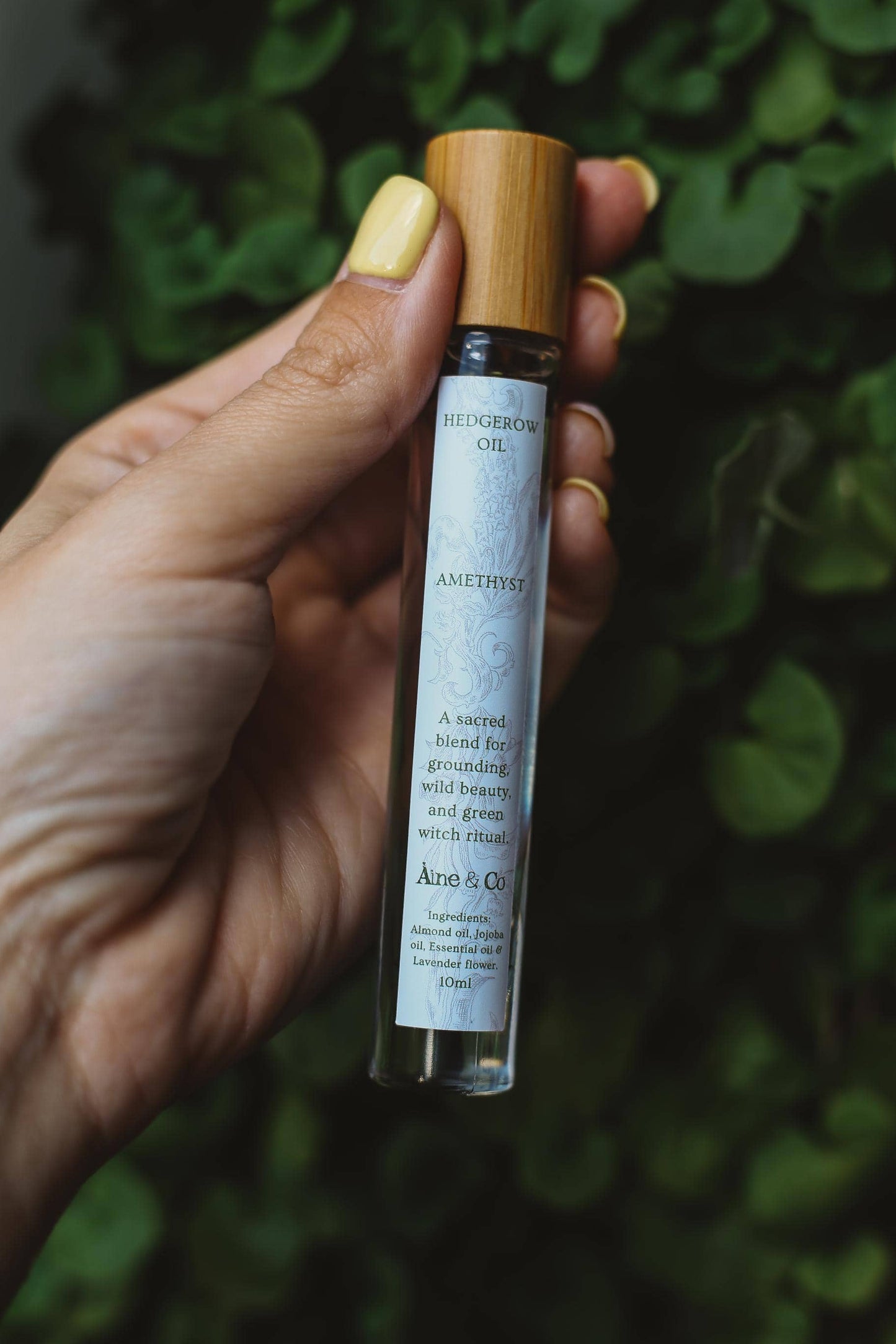 Hand holding a small glass bottle with wooden cap against a green leafy background