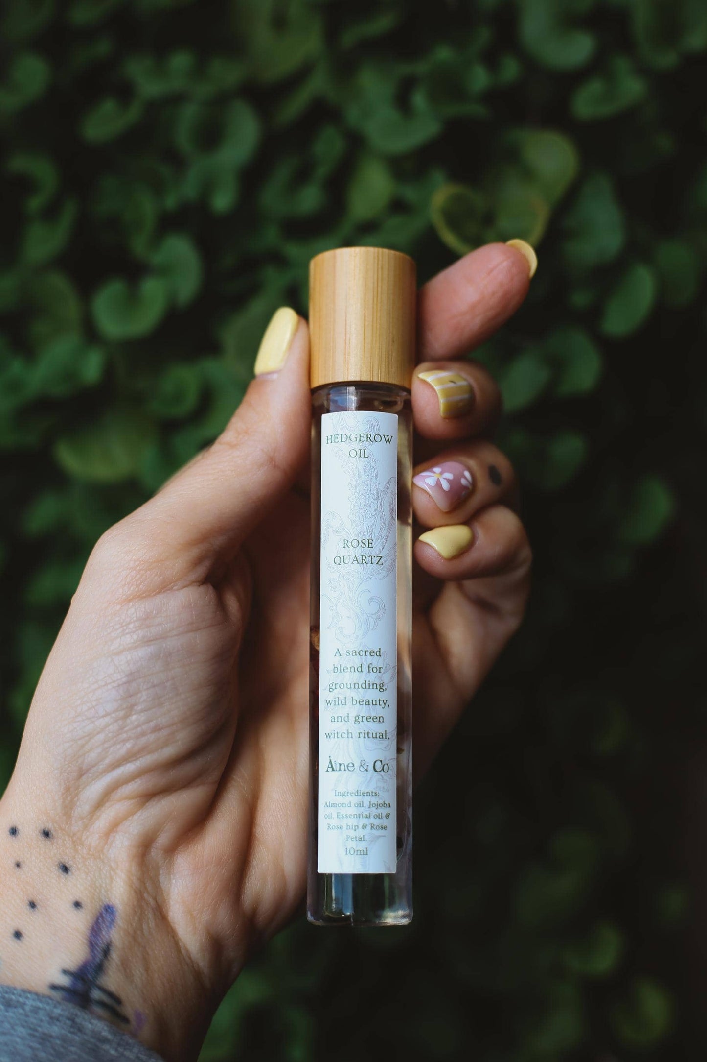 Hand holding a small glass bottle with a wooden cap against a green leafy background