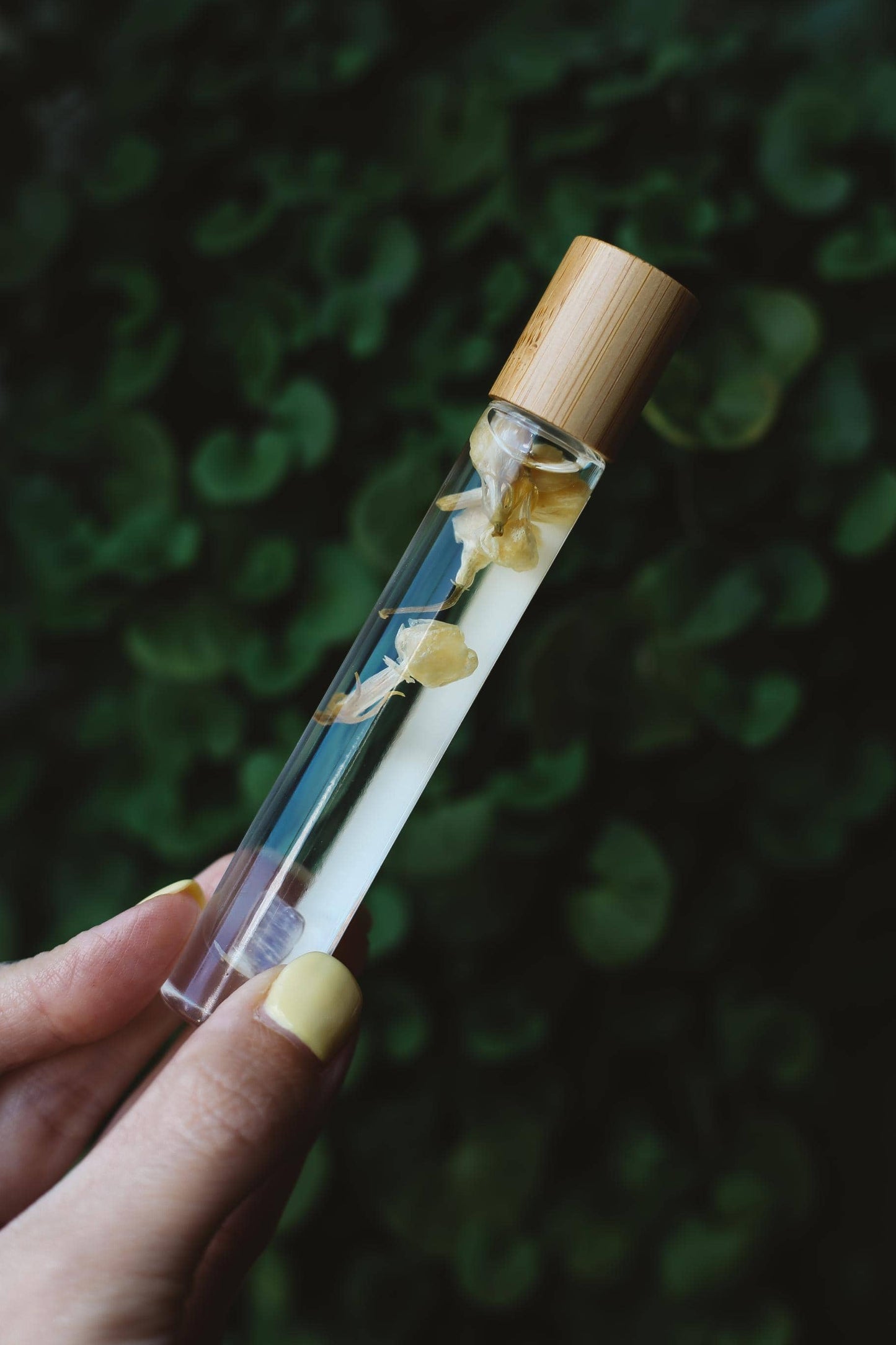 Clear glass vial with wooden cap containing a small plant held by a hand against a blurred green background