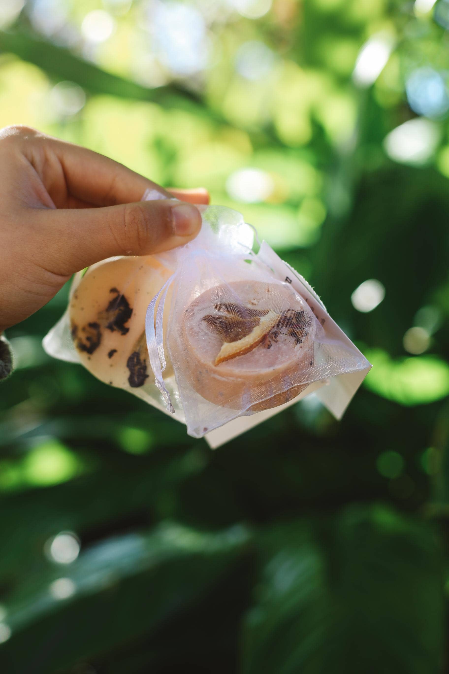 Hand holding a wrapped circular soap against a blurred green outdoor background