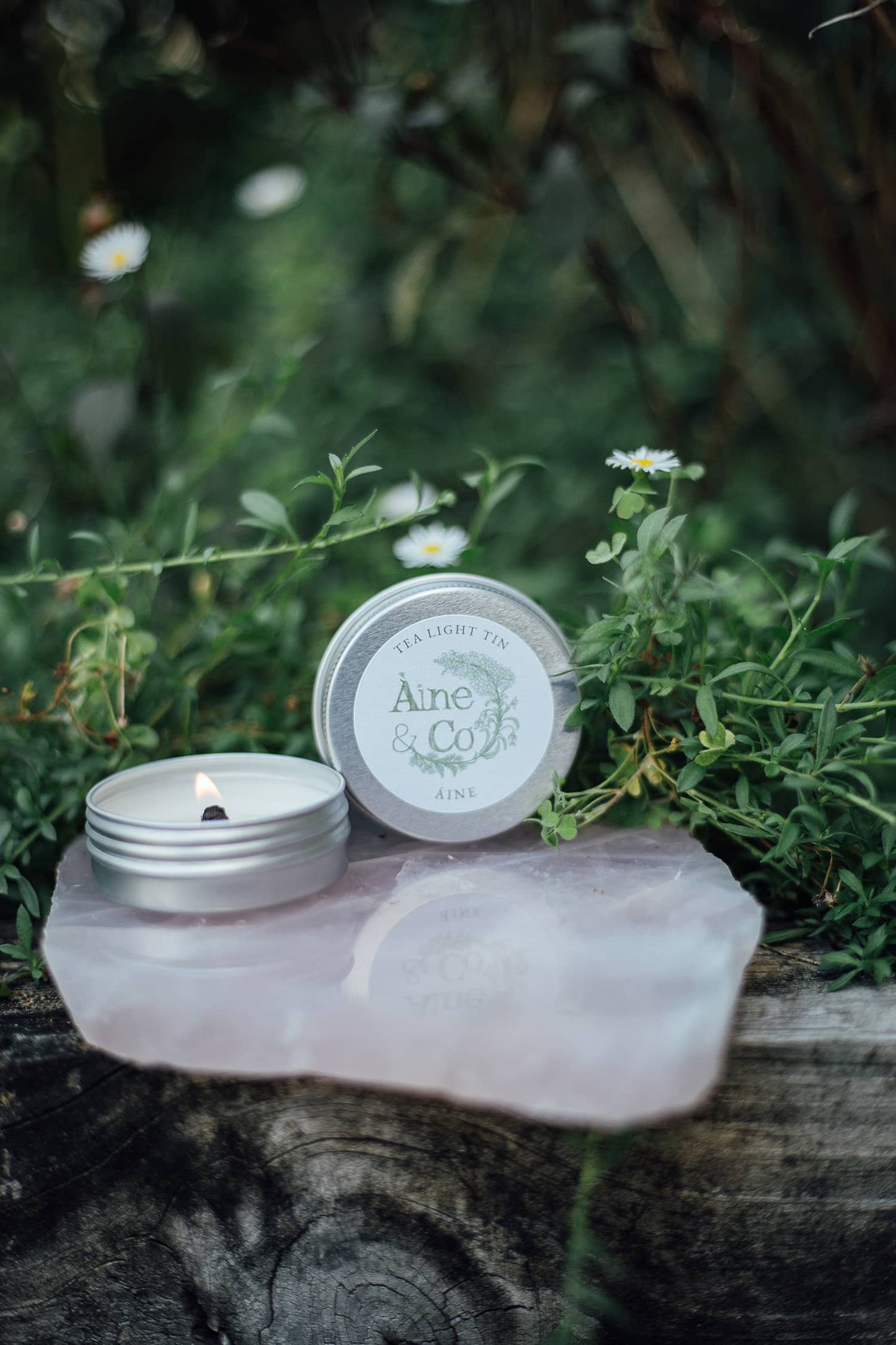 Àine & Co. Tea Light Tin with a wooden wick in scent Àine