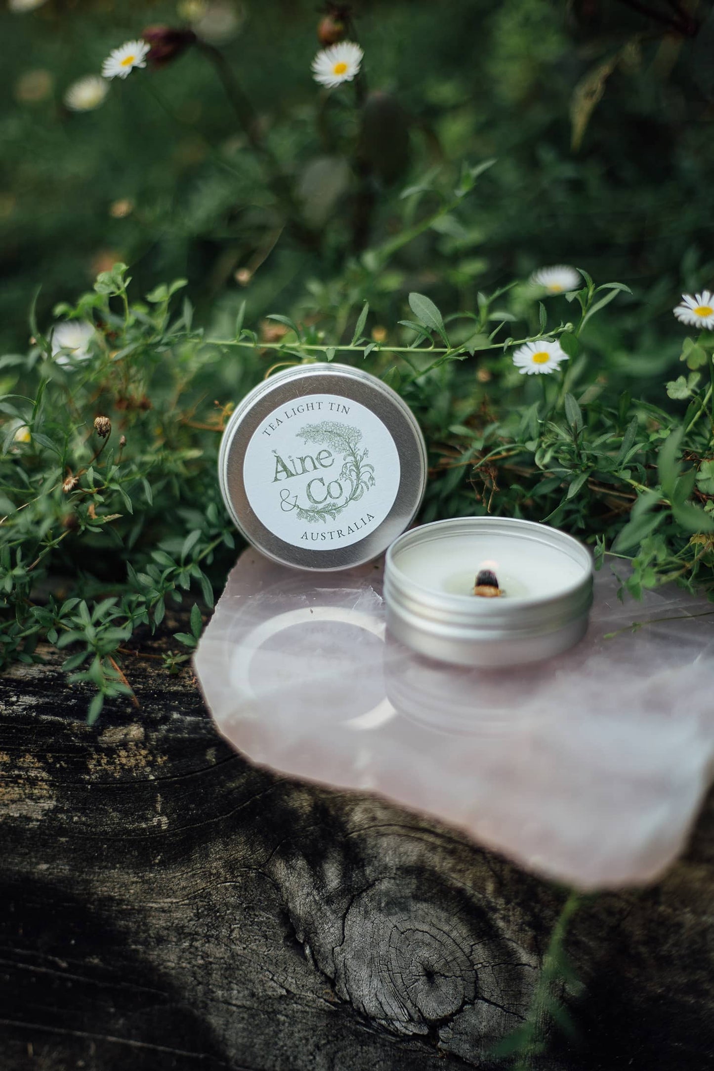 Àine & Co. Tea Light Tin with a wooden wick in scent Australia