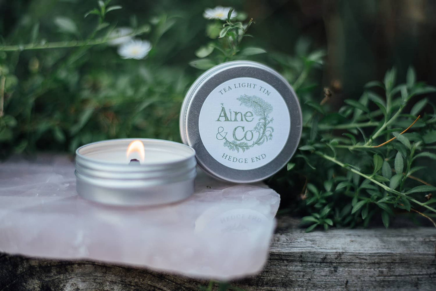 Àine & Co. Tea Light Tin with a wooden wick in scent Hedge End