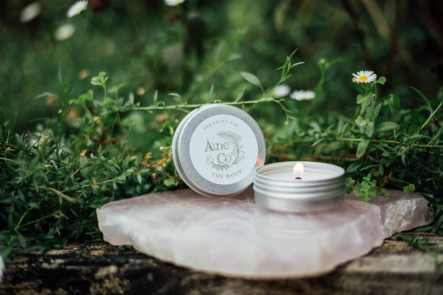Àine & Co. Tea Light Tin with a wooden wick in scent The Moor