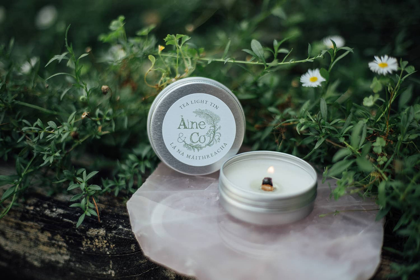 Àine & Co. Tea Light Tin with a wooden wick in scent Lá Na Máithreacha