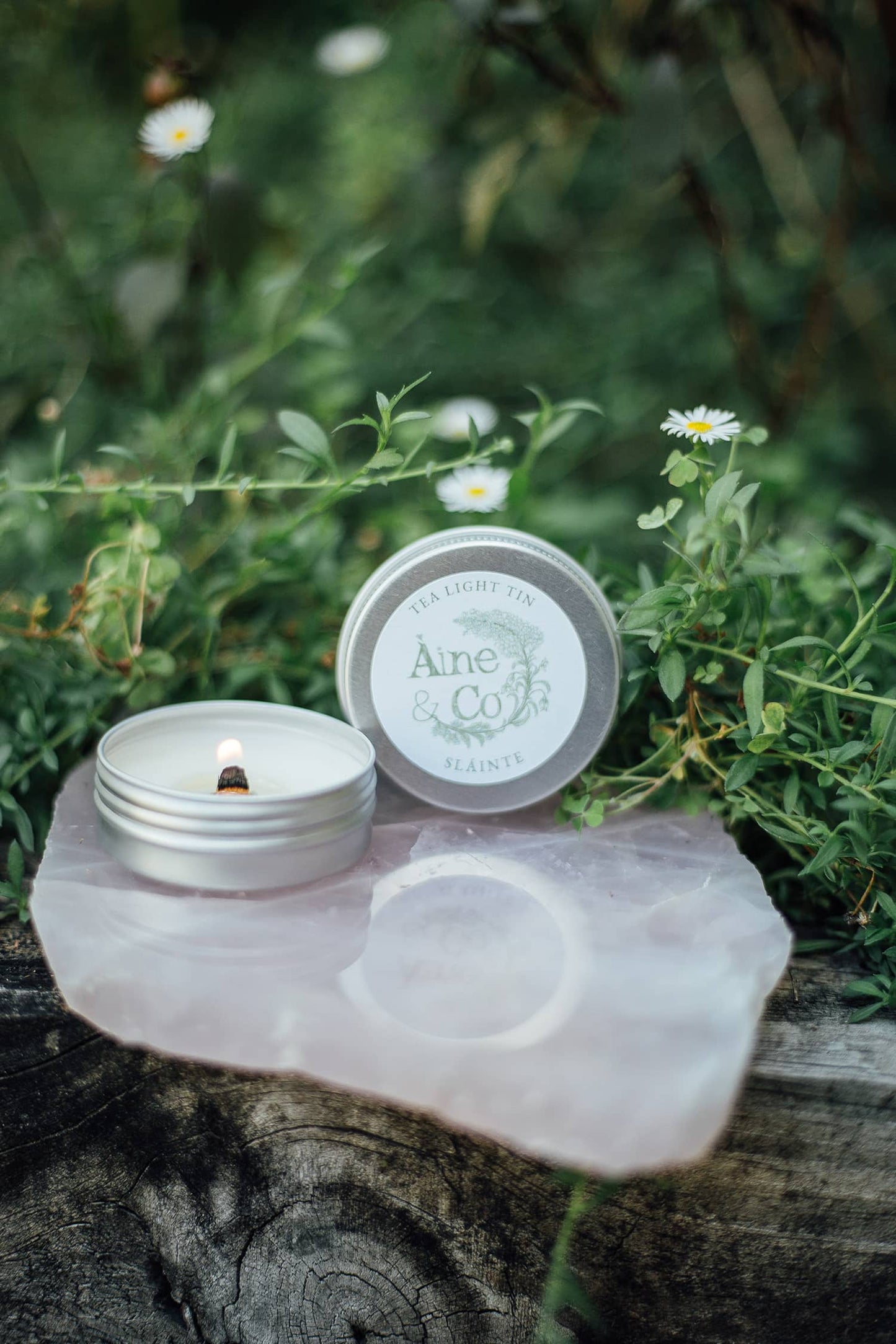 Àine & Co. Tea Light Tin with a wooden wick in scent Sláinte
