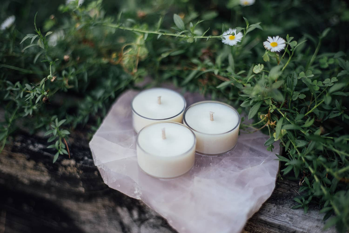 Three Àine & Co. Tea Lights in size small