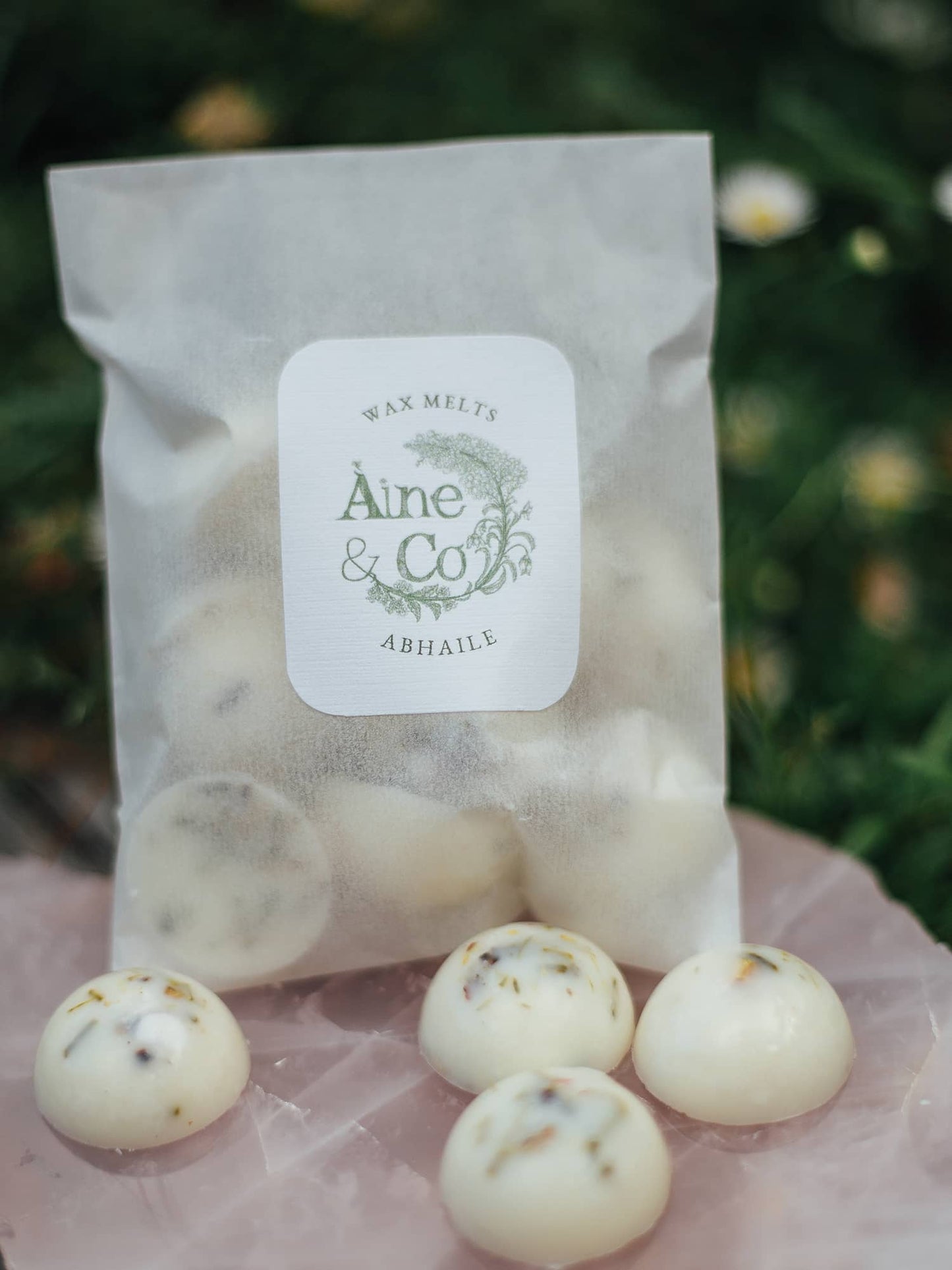 Àine & Co. Wax Melts in Abhaile
