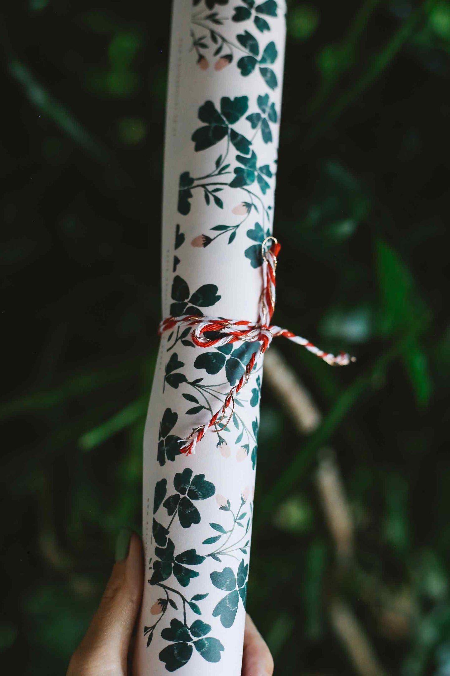 Rolled-up paper with floral pattern tied with red string against a blurred green background