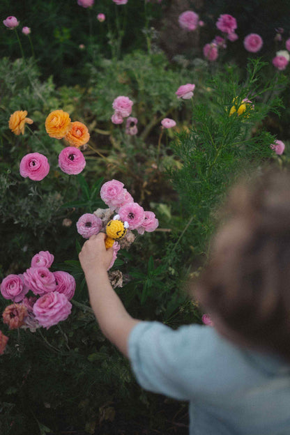 Crochet Toys ~ by Justine