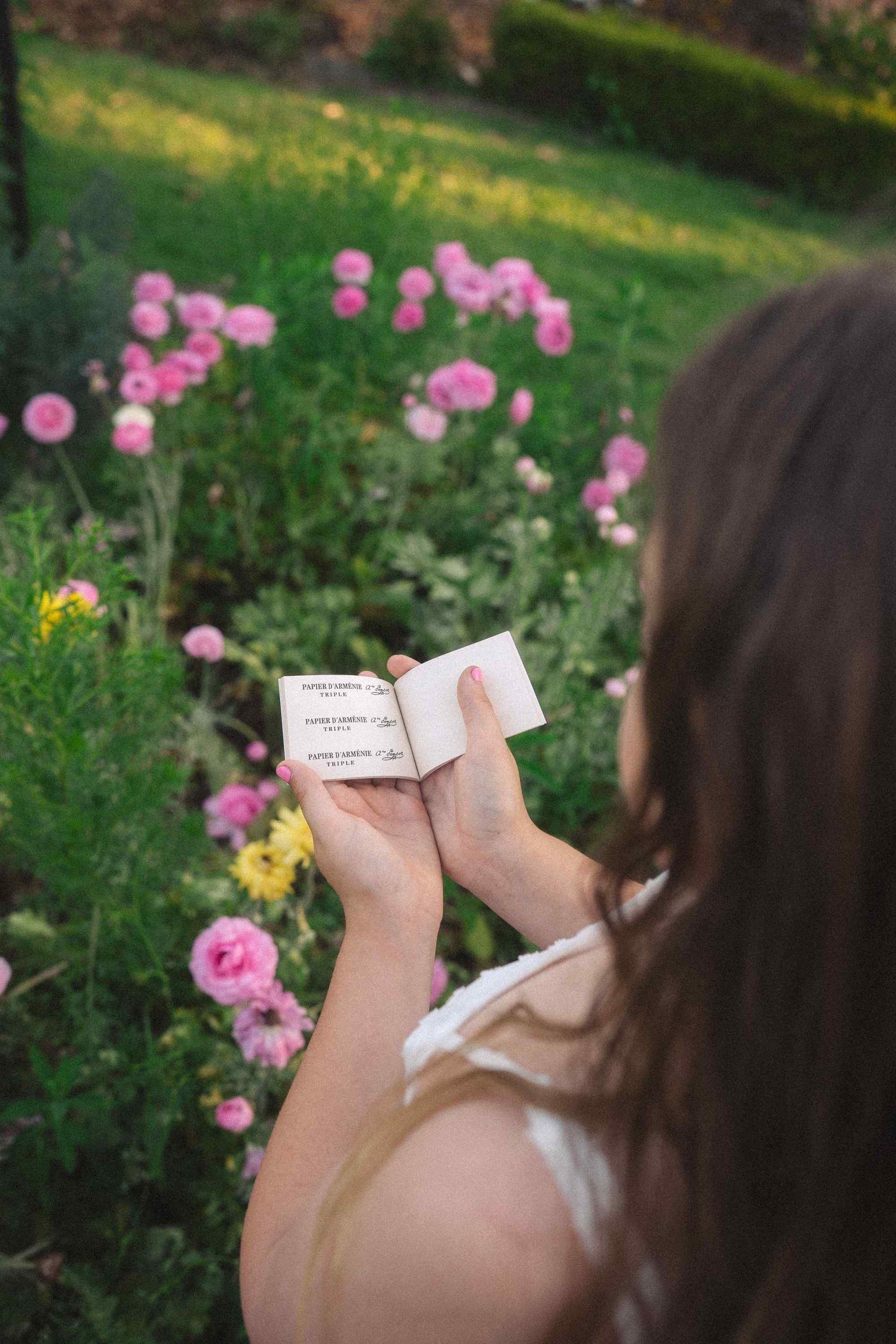 Papier d’Arménie ~ Incense Papers