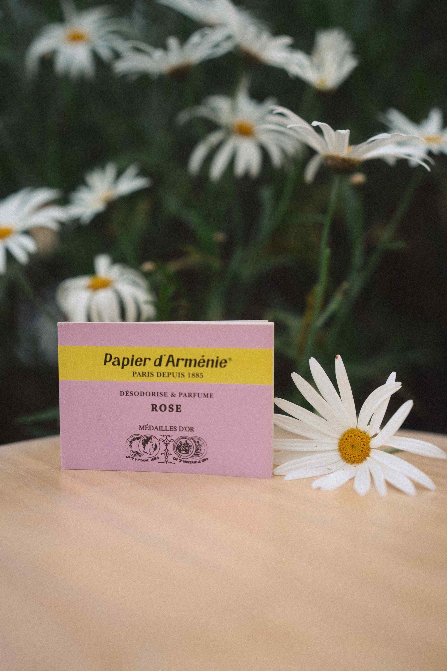 Papier d’Arménie ~ Incense Papers