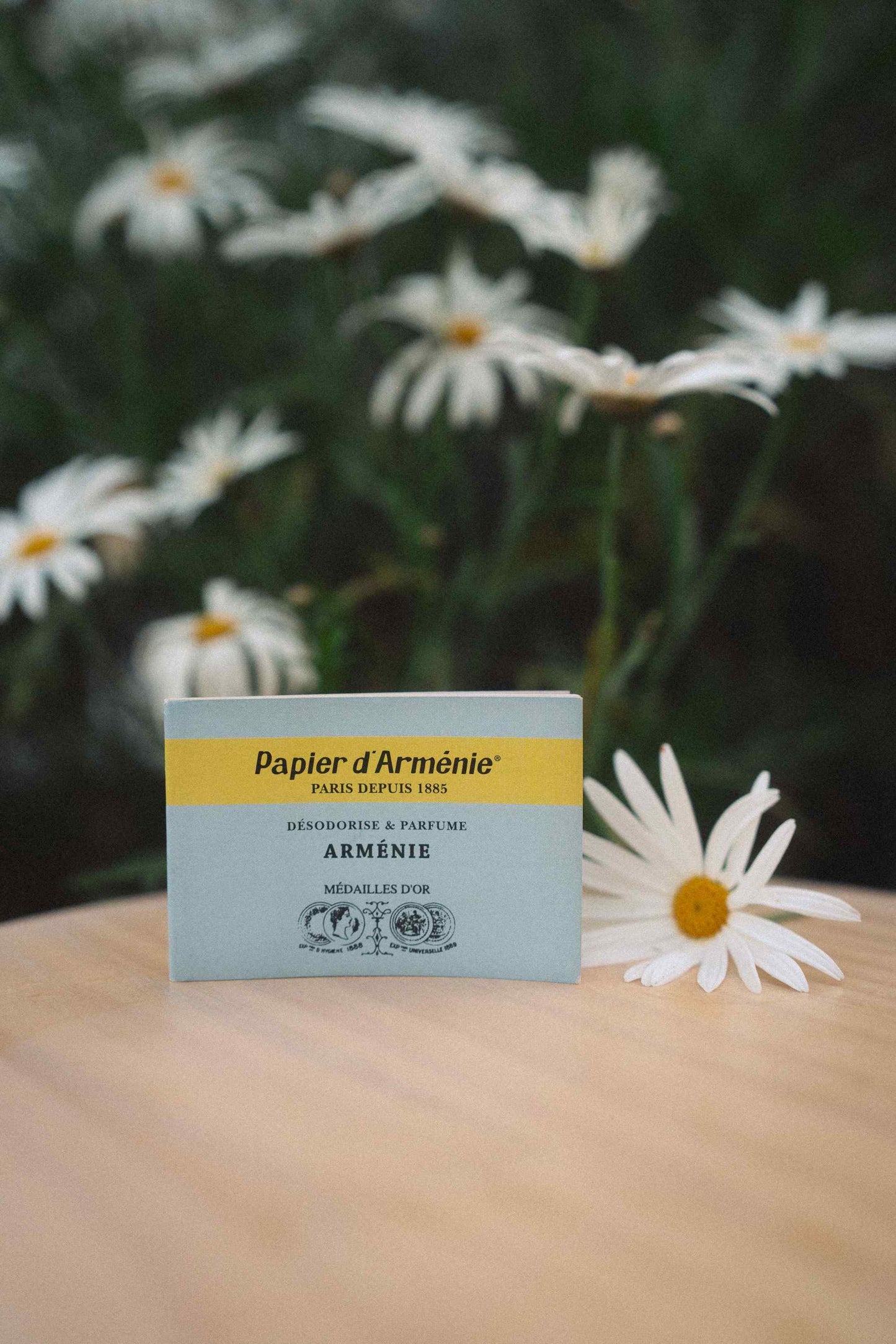 Papier d’Arménie ~ Incense Papers
