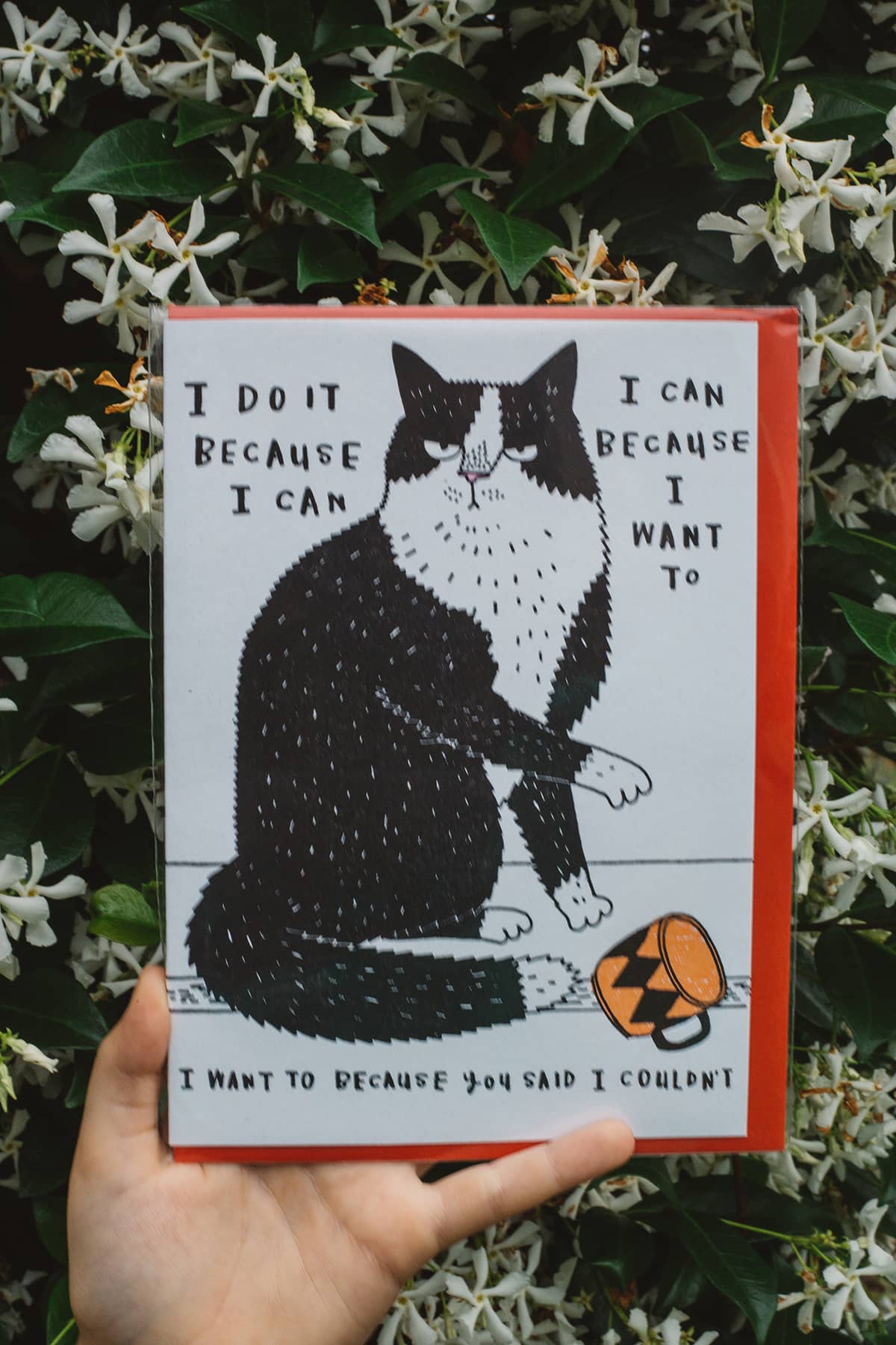 Àine & Co. Archivist greeting card featuring cat pushing mug over with text "I do it because I can. I can because I want to. I want to because you said I couldn't."