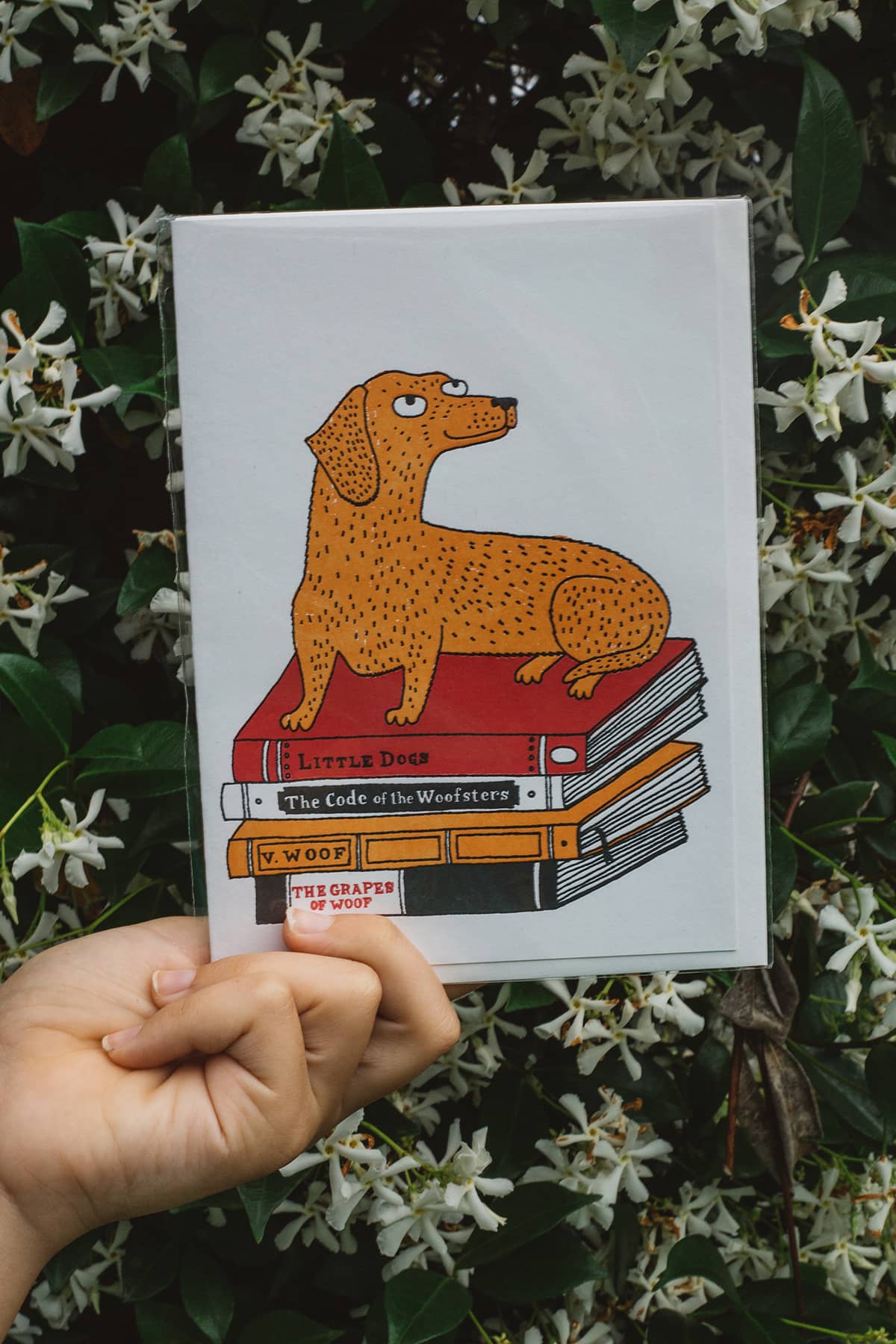 Àine & Co. Archivist greeting card featuring dachshund laying on stack of books