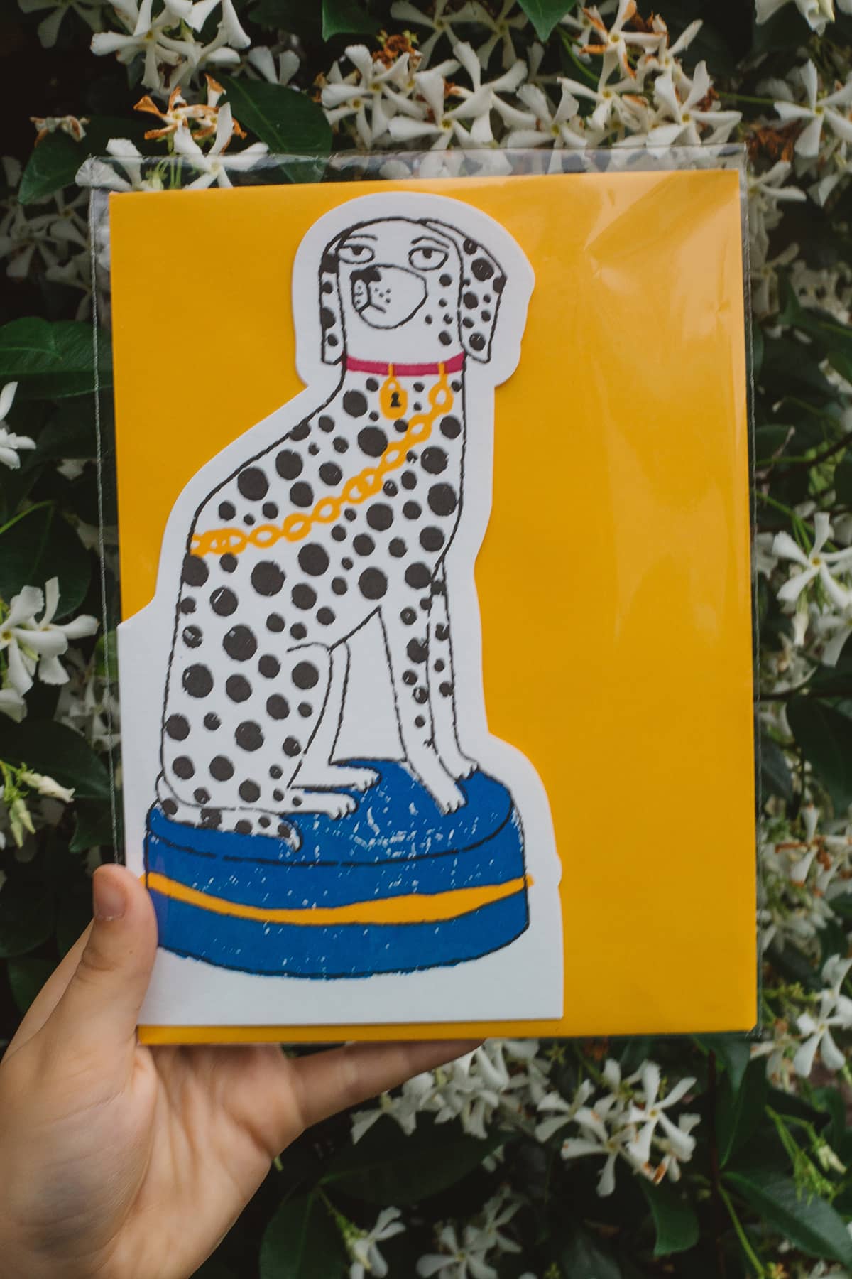 Àine & Co. Archivist greeting card featuring Dalmation dog sitting on blue podium