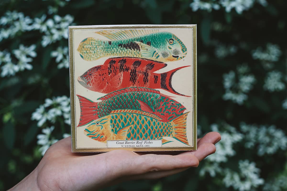 Archivist Luxury Matches