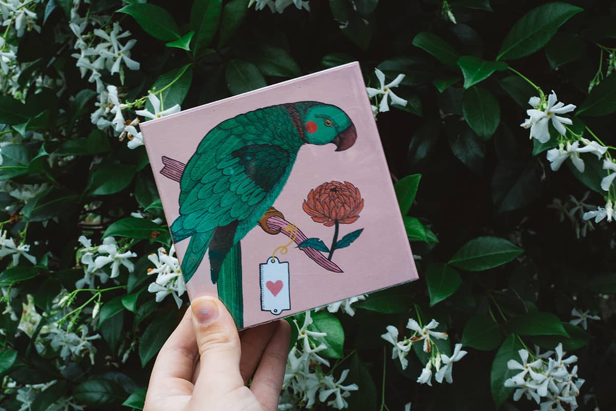 Archivist Luxury Matches with green bird design on pink background 