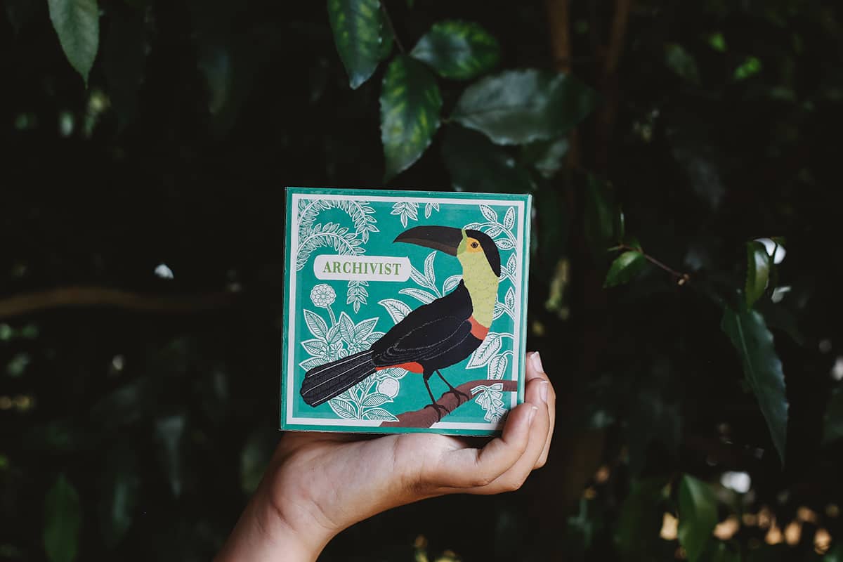 Archivist Luxury Matches with Toucan design against teal floral background