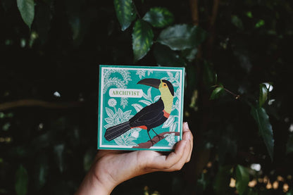 Archivist Luxury Matches with Toucan design against teal floral background