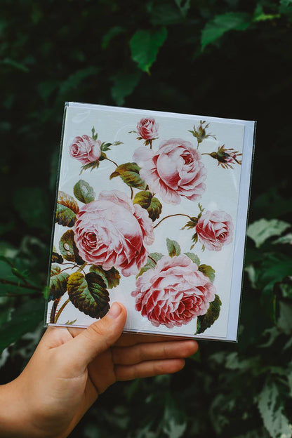 Archivist Natural History Museum ~ Greeting Cards
