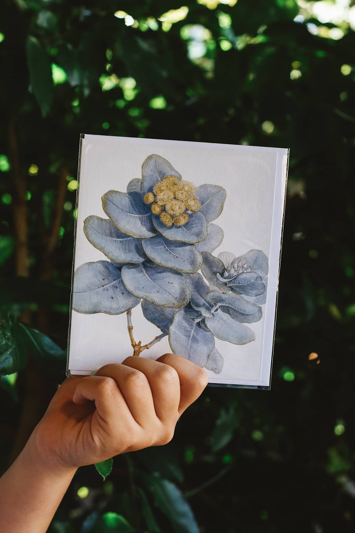Archivist x Natural History Museum Greeting Card featuring realistic artwork of blue botanical leaves
