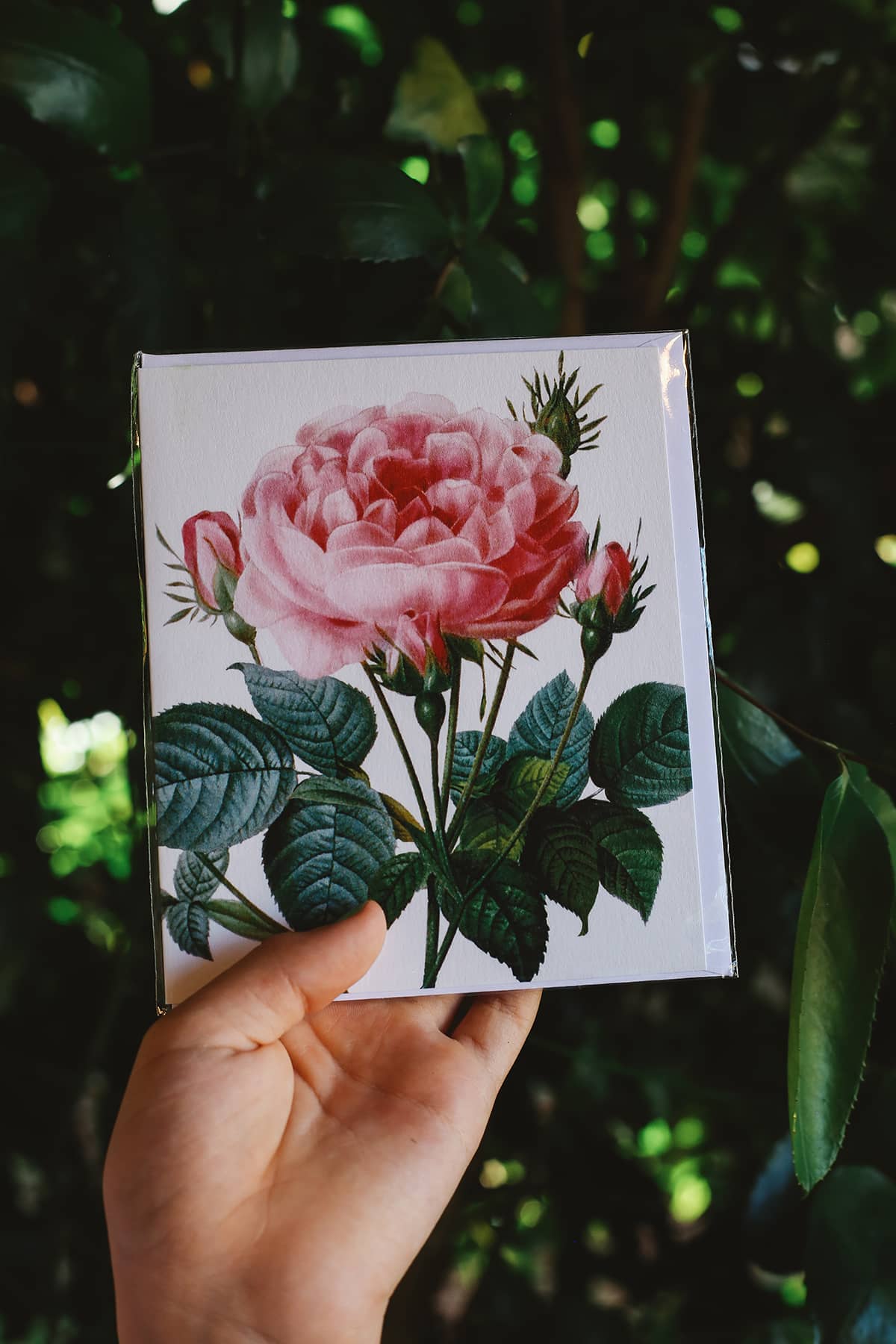 Archivist x Natural History Museum Greeting Card featuring pink flower