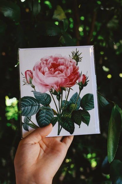Archivist x Natural History Museum Greeting Card featuring pink flower