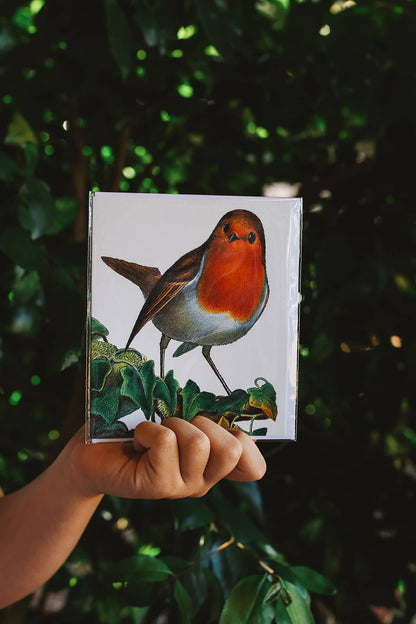 Archivist x Natural History Museum Greeting Card featuring realistic artwork of a robin bird