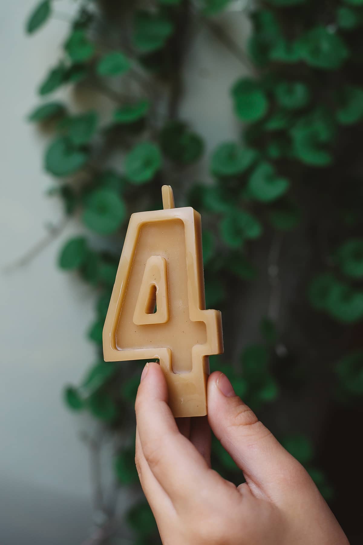 Bees Wax ~ Number Candles