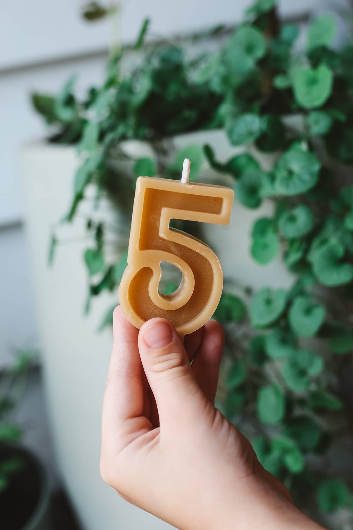 Bees Wax ~ Number Candles