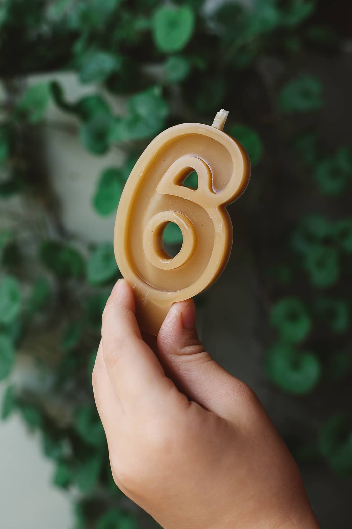 Bees Wax ~ Number Candles