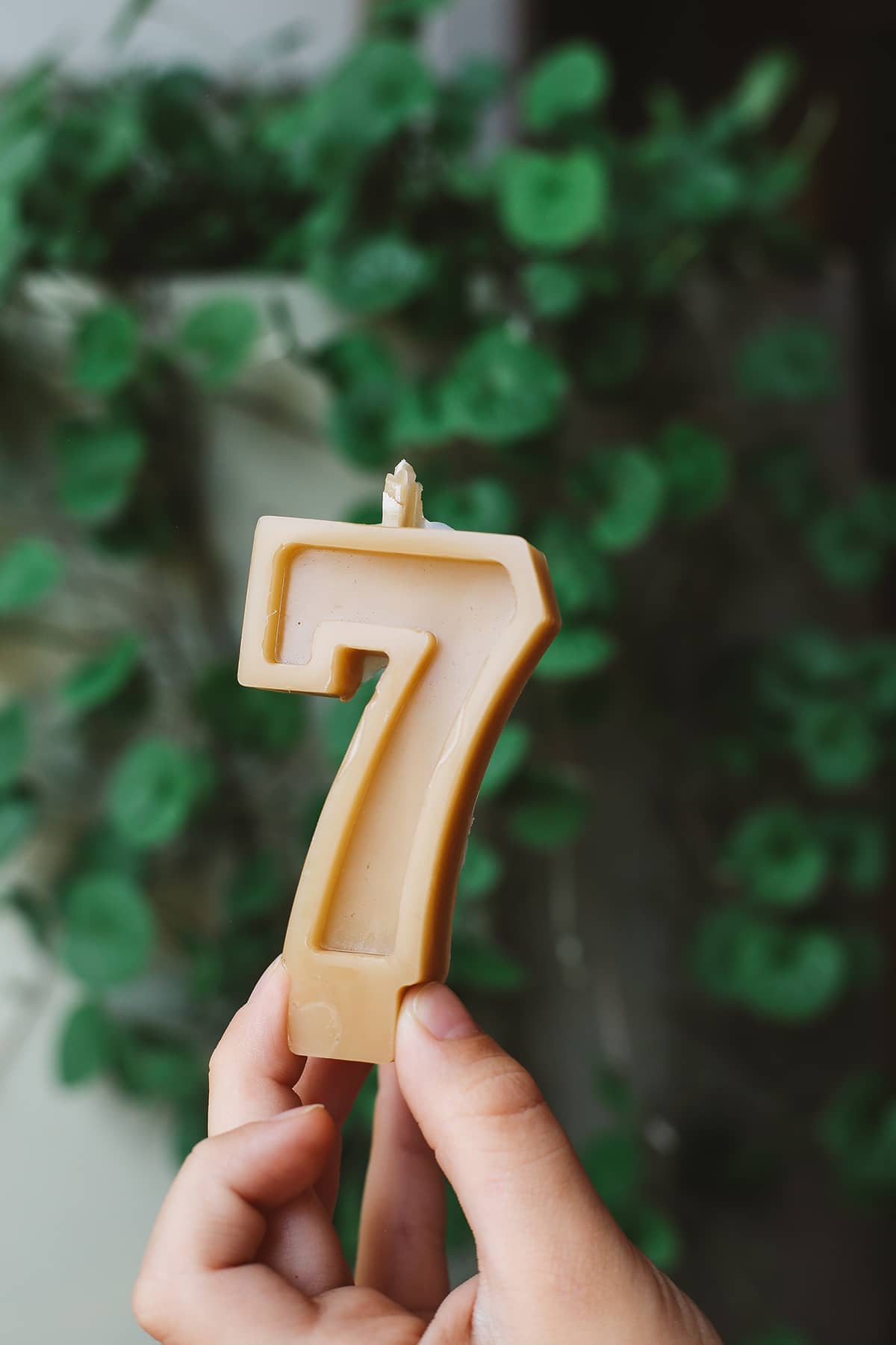 Bees Wax ~ Number Candles