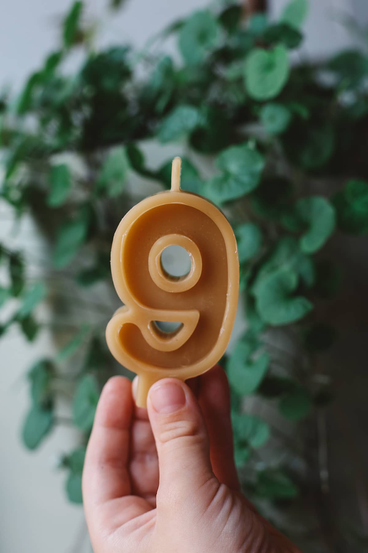 Bees Wax ~ Number Candles