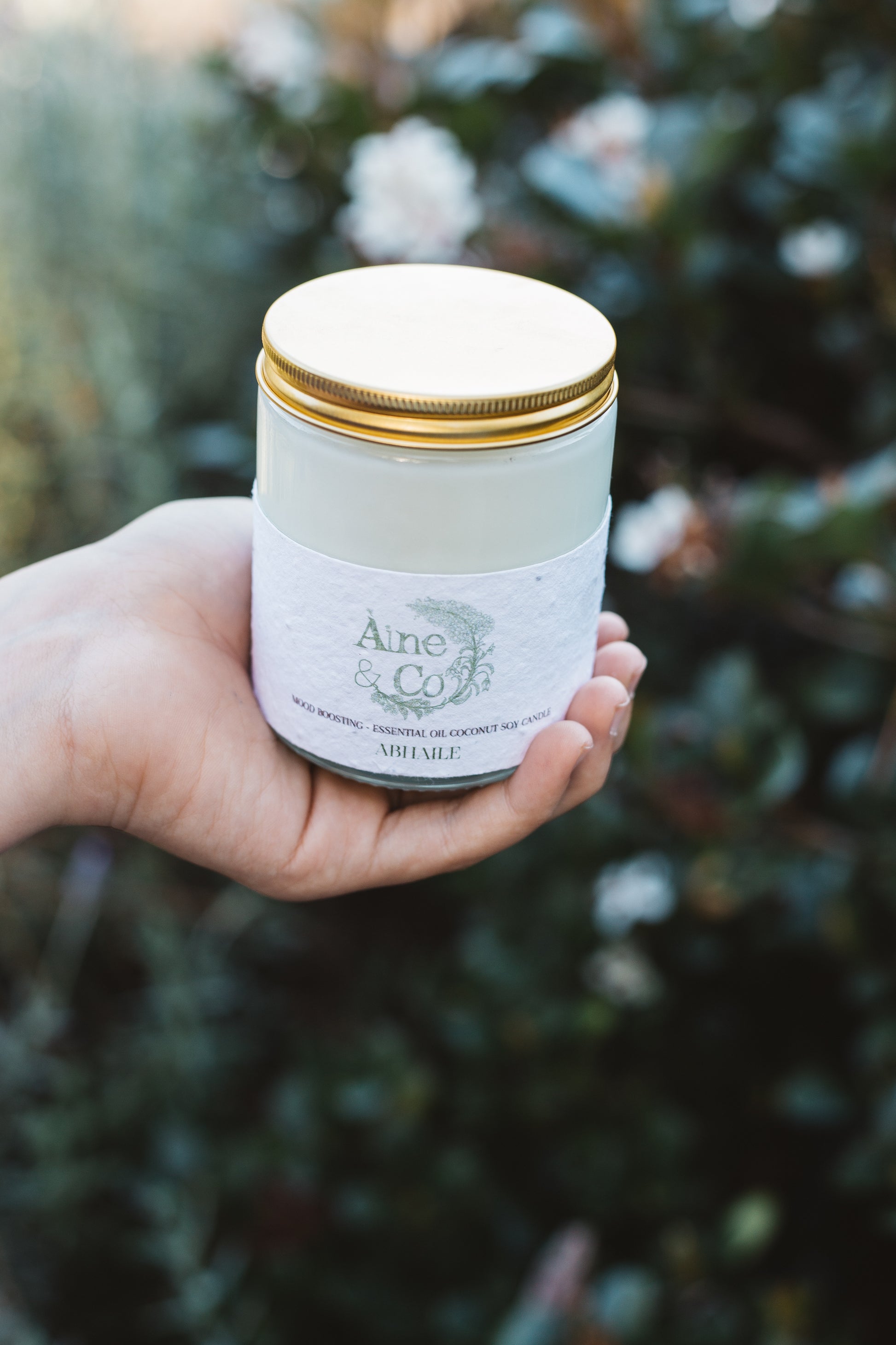 Hand holding Áine & Co. glass candle jar in Abhaile packaged in a clear jar and gold lid