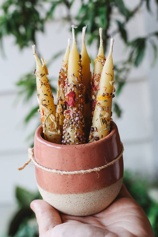 Àine & Co. Hand Dipped Beeswax Birthday Candles adorned with festive botanical elements 