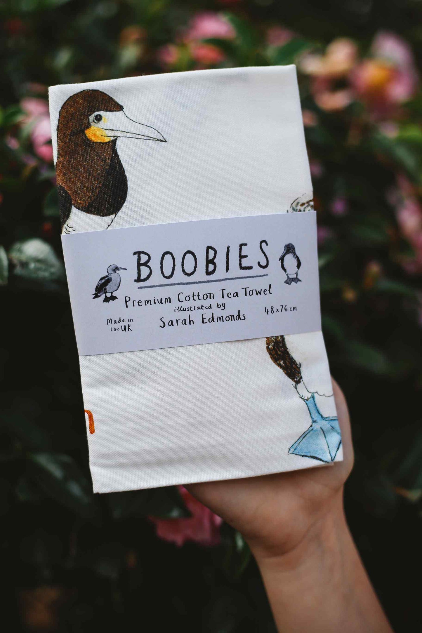 Hand Drawn Illustrated Tea Towels