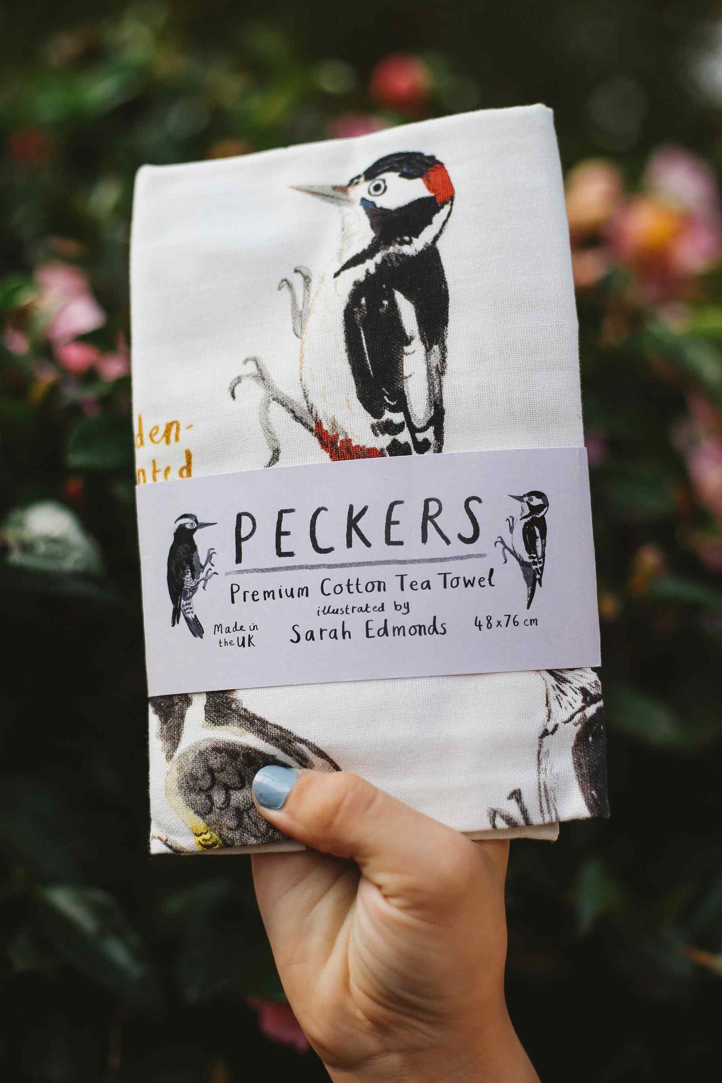 Hand Drawn Illustrated Tea Towels